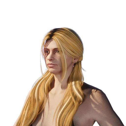 Female hairstyle 12