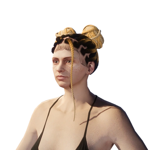 Female hairstyle 39