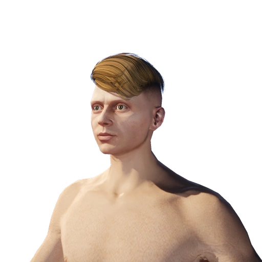 Male hairstyle 23